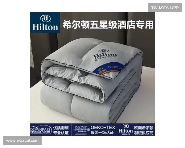 外贸羽绒被携手国内酒店行业共同打造舒适睡眠体验提升客人满意度 外贸羽绒被携手国内酒店行业共同打造舒适睡眠体验提升客人满意度